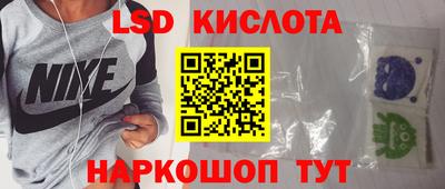 молекула духа Кингисепп
