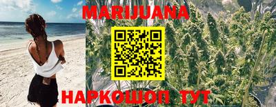 каннабис Кимры