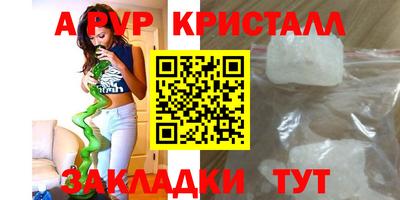 молекула духа Кингисепп