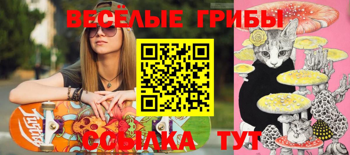 Галлюциногенные грибы Cubensis Электрогорск